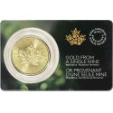 Kanadyjski Liść Klonowy 2022 1 uncja - Złota moneta inwestycyjna (3.11.)