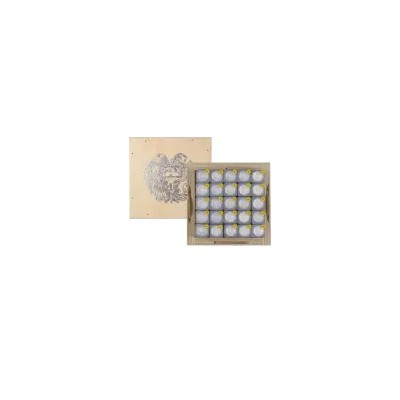 Arka Noego (2025) - 1/4 Oz - srebrna moneta inwestycyjna