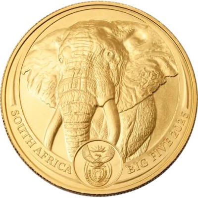 Big Five Elephant (2025) - 1 uncja - złota moneta inwestycyjna