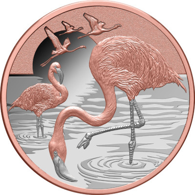 Flaming (2025) - 1 Oz - Srebrna moneta kolekcjonerska