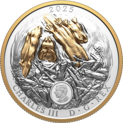 Bóbr (2025) - 100 g - srebrna moneta kolekcjonerska (dostawa 24.9.2025)