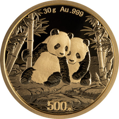 Panda (2026) - 30g - złota moneta inwestycyjna