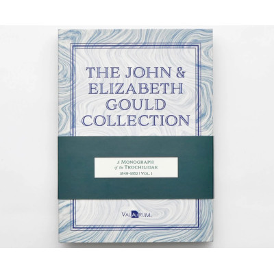 Kolekcja Johna i Elizabeth Gould - Kolibry
